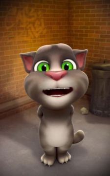 Messed Up, The Cat