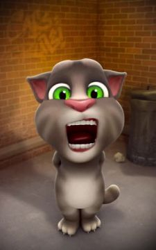 Messed Up, The Cat 2
