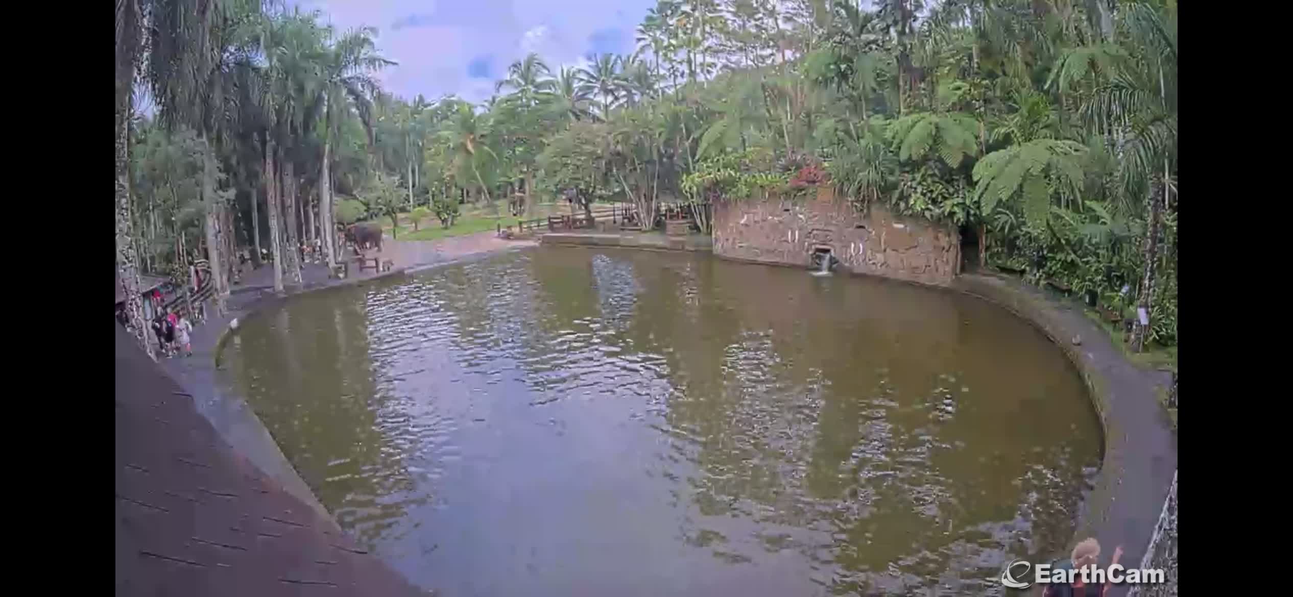 La belle eau brune toé!