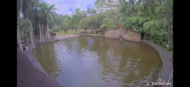 La belle eau brune toé!